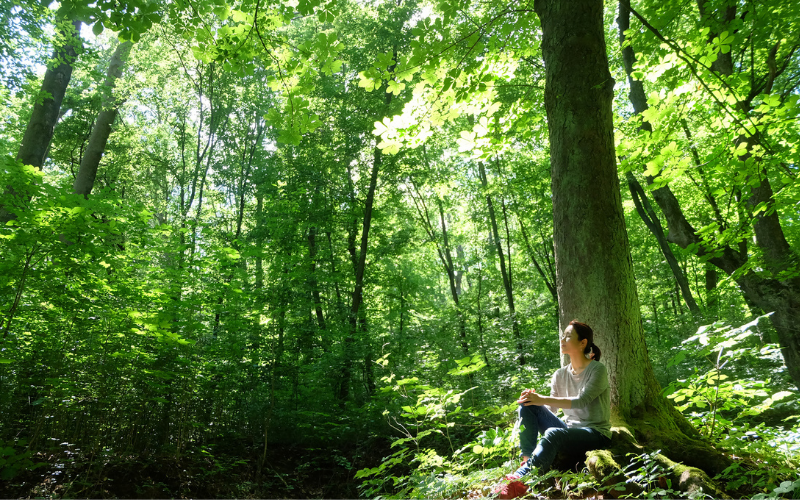 phát huy tối đa các giác quan